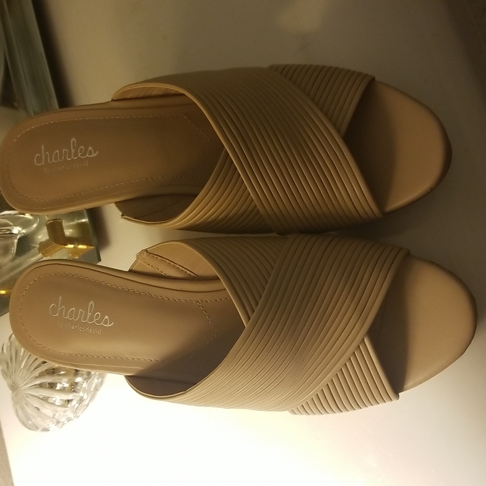 Charles by Charles David womens shoes size 10M